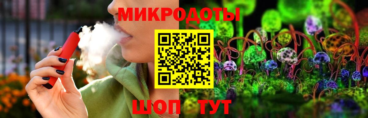 Псилоцибиновые грибы Psilocybe  Вход с VPN  Гусиноозёрск 